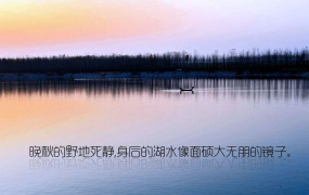 描写夏天景色的诗句,夏日炎炎景如画