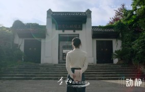 文化共赏沐金秋 2024贵州省形象宣传片（秋季版）登陆央视，传统八卦图