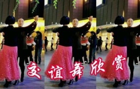 交谊舞曲欣赏,交谊舞曲中的浪漫时光